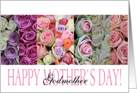 Happy Mother’s Day, mixed pastel roses for Godmother card