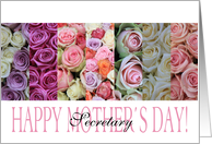 Happy Mother’s Day, mixed pastel roses for Secretary card