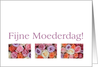 Happy Mother’s Day in Dutch, mixed pastel roses Fijne Moederdag card