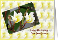 Anniversary Wishes for Grandparents-Two flowers card