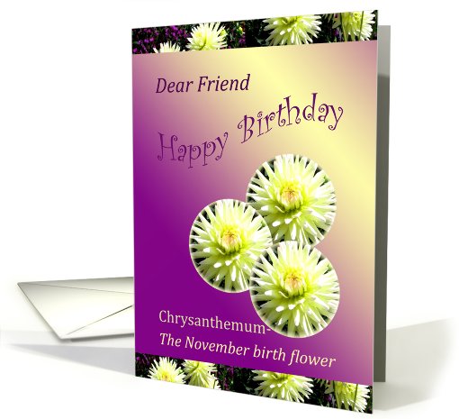 Birthday-Friend -Month Flower - November-Chrysanthemum card (689852)