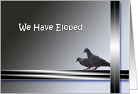 We have eloped announcement - 2 pigeons card