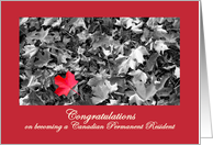 Congratulations on becoming Canadian Permanent resident card