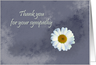 Daisy flower - Thank you for your sympathy card