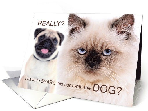 Funny Birthday from the Pets Mad Cat and Dog card (1482538)