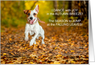 from the Dog Thanksgiving Dance of Joy JRT card