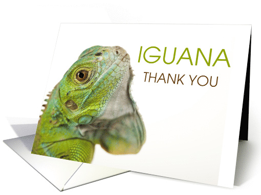 Iguana Thank You Fun Play on I Wanna card (1500008)