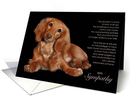 Longhaired Dachshund Dog Pet Sympathy Euthanasia card (1514916)