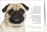 Pug Dog Pet Sympathy Euthanasia Breed Specific card