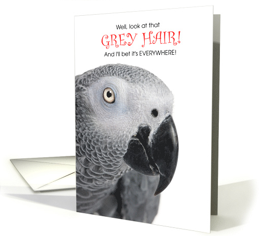 African Grey Parrot Funny Birthday for Bird Lovers card (1520274)
