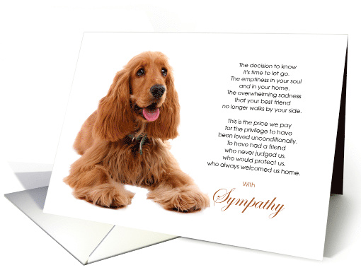 Cocker Spaniel Dog Pet Sympathy Euthanasia card (1522246)