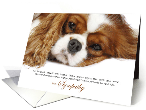 Cavalier King Charles Dog Pet Sympathy Euthanasia card (1522250)