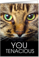 Encouragement Cat Lover You are Tenacious card