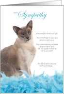 Blue Point Siamese Cat Pet Sympathy Euthanasia card