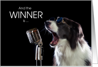 Funny Border Collie Dog Award Congratulations card