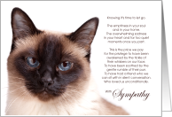 Chocolate Point Siamese Cat Pet Sympathy Euthanasia card