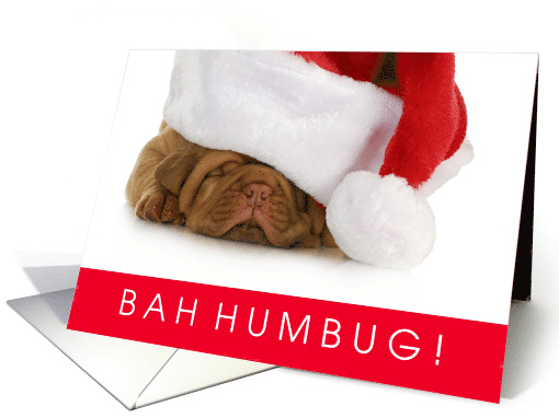 Funny Bah Humbug Shar Pei Puppy Christmas card (1537196)