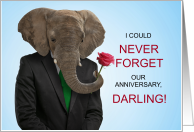 for Wife Wedding Anniversary Elephant with a Rose card