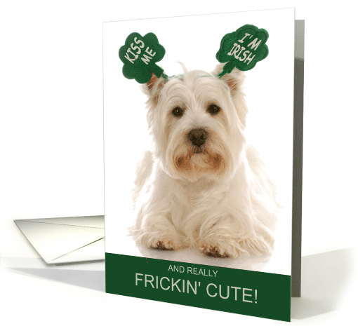 Funny St. Patrick's Day Westie Terrier Dog Kiss Me card (1580192)