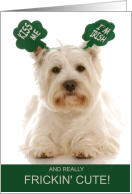 Funny St. Patrick’s Day Westie Terrier Dog Kiss Me card
