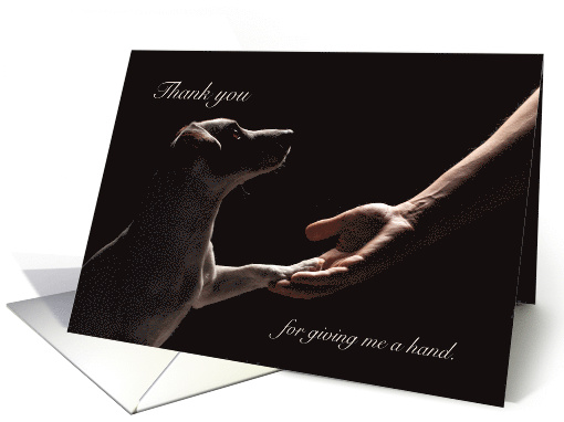 Thank You Dog Paw in Human Hand Helping card (1581922)