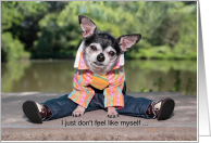 Funny Miss You Chihuahua in Clothes card