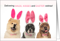 Easter Dogs in Bunny Ears Funny Wags and Kisses card