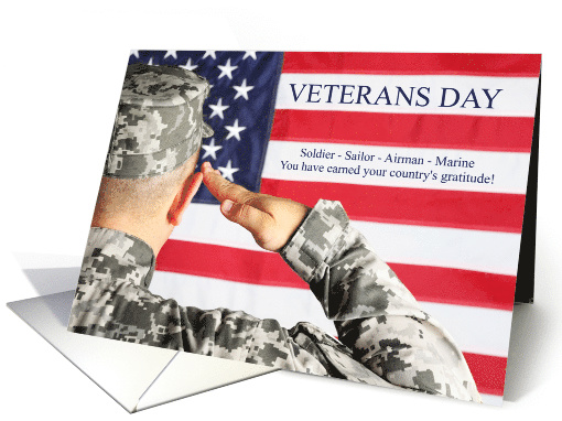 Veterans Day Salute Soldier and American Flag card (1626358)