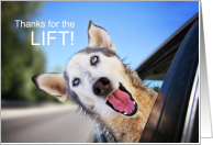 Thanks for the Lift Funny Dog Out the Car Window card