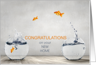 Funny New Home Congratulations Goldfish Bowls card