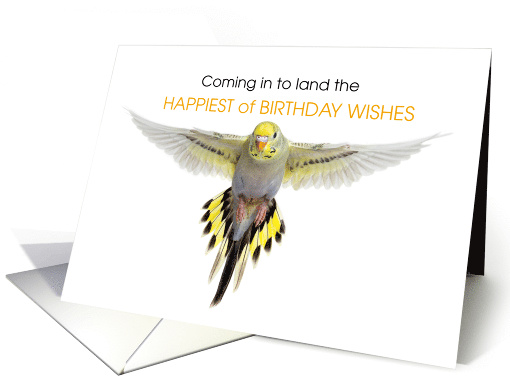 Grey Budgeriar Parakeet Birthday Wishes card (1757122)