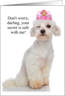 Funny Birthday Bichon Frise Dog in a Tiara card