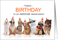 Veterinarian Birthday Line of Pets in Party Hats card