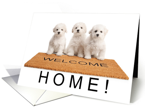Welcome Home Cute Bichon Frise Puppies card (1783036)