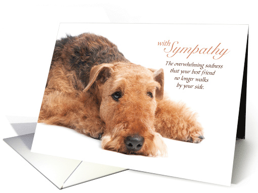 Airedale Terrier Dog Pet Sympathy Loss of a Dog card (1796326)