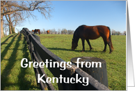 Greetings from Kentucky card