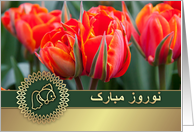 Nowruz Mubarak....