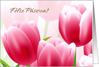 Feliz Pscoa. Spring Tulip Portuguese Easter Card