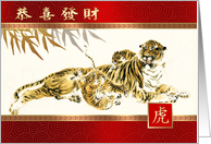 Happy Chinese Year of the Tiger in Chinese Nursing Tigress Painting card
