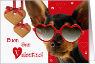 Buon San Valentino. Italian Card with Funny Dog card