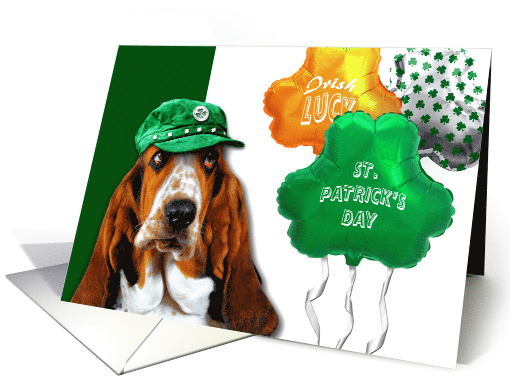 St. Patrick's Day 2024. Funny Basset Hound card (900927)