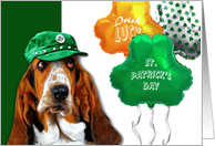 St. Patrick’s Day 2024. Funny Basset Hound card