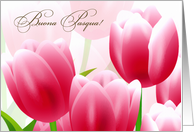 Buona Pasqua. Italian Easter Gard with Spring Tulips card