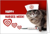 Happy Nurses Week. Funny Cat with Syringe card