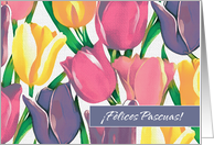Felices Pascuas. Spanish Easter Card with Spring Tulips card
