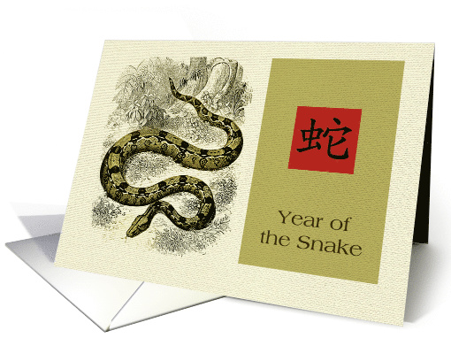 Year of the Snake Card with a Vintage Snake image card (964419)