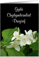 Sympathy Card, Welsh Greeting, Mock Orange card