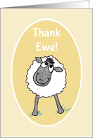 Thank You with Fun Sheep and Thank Ewe Blank Inside card