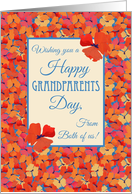 Grandparents Day from Both of Us Bright Icelandic Poppies Blank Inside card