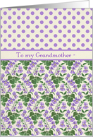 Violets, Polka Dots February Birthday Card, Grandmother card